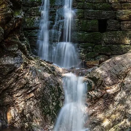 Casa de hóspedes Ruth 3*